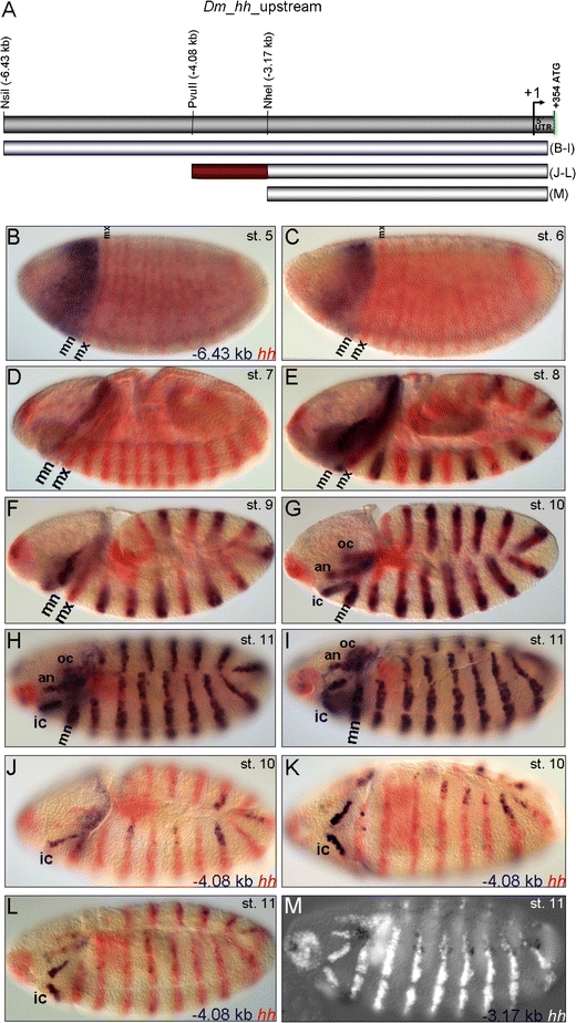 Fig. 4