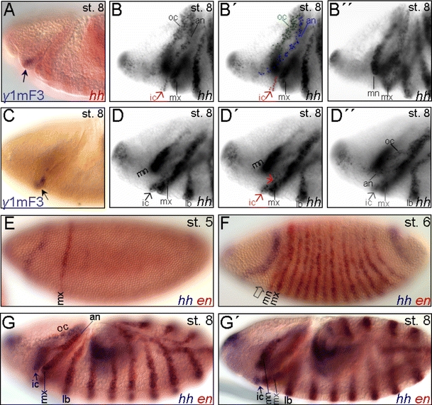 Fig. 6