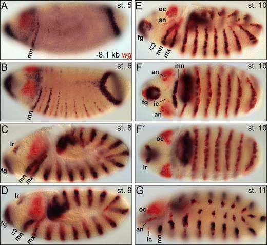 Fig. 2