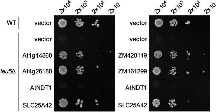 Figure 2.