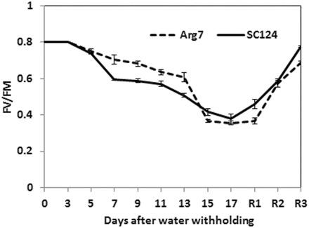 Fig. 2.