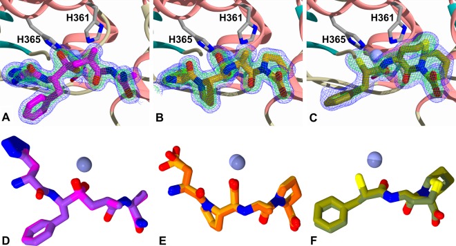 Figure 5.