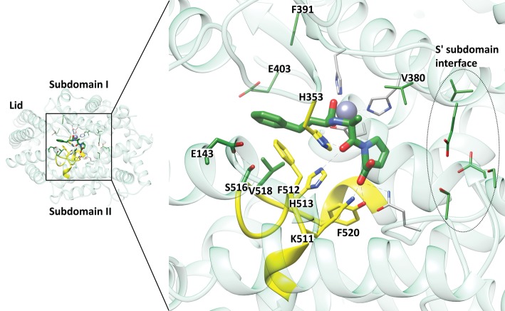 Figure 9.