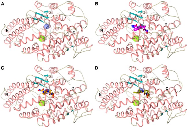 Figure 3.