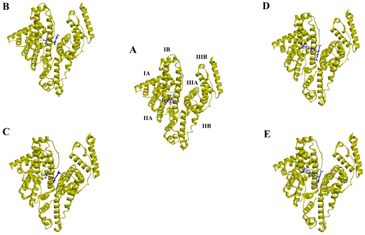 Figure 7