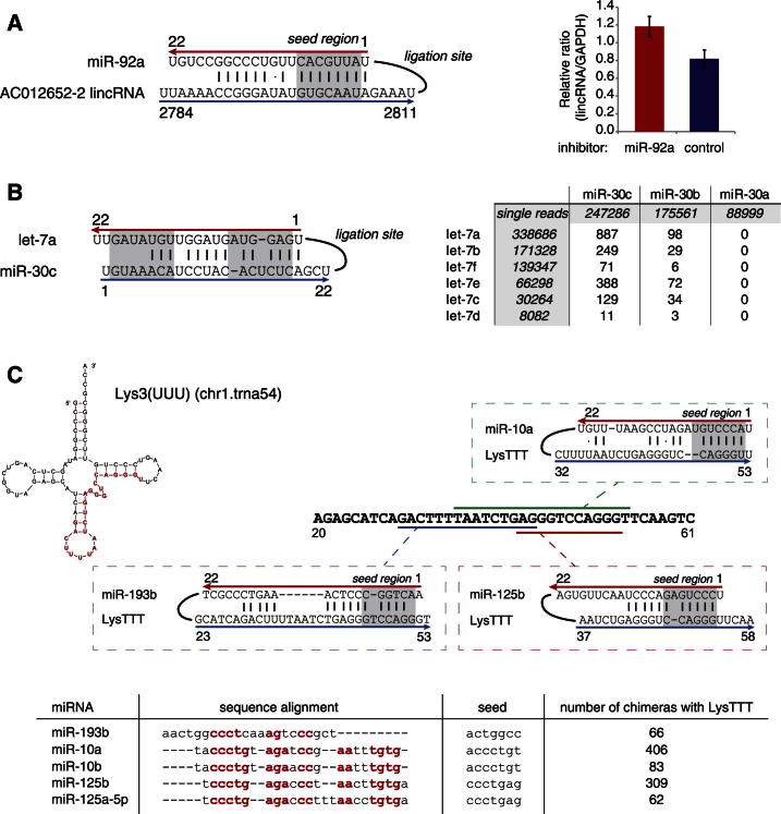 Figure 6