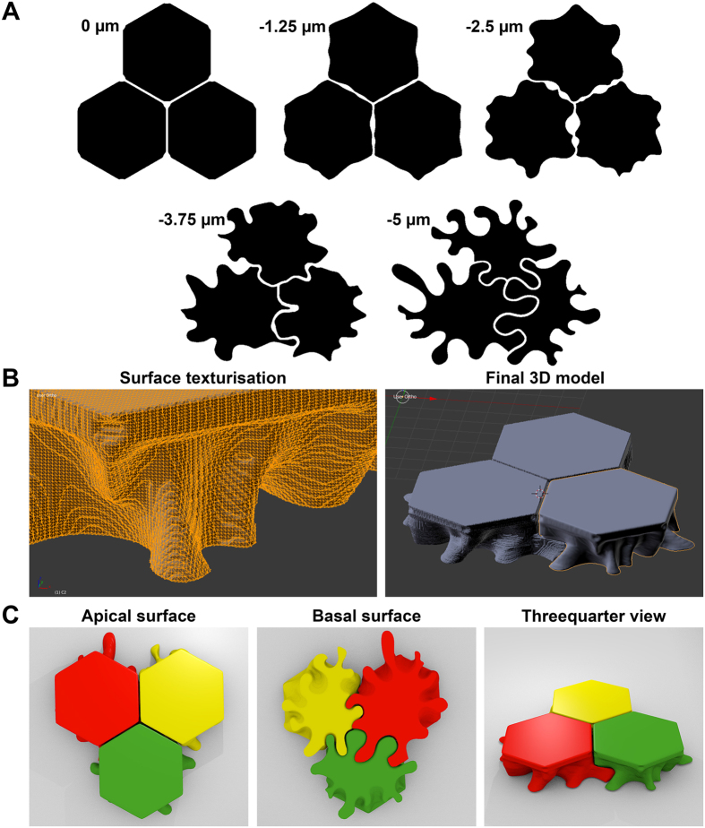 Figure 5