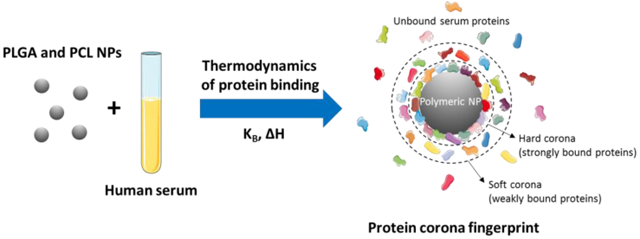 graphic file with name nihms-1552215-f0001.jpg