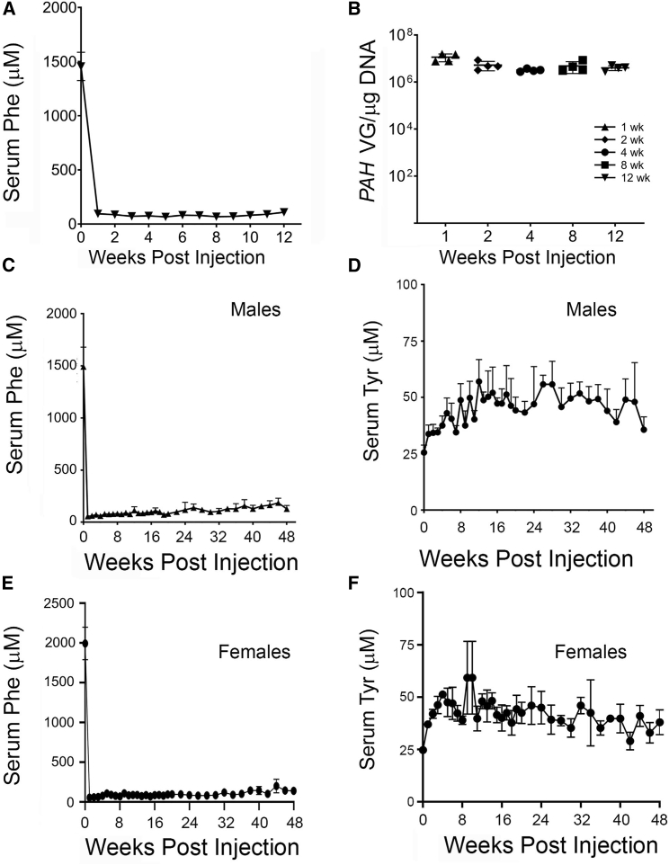 Figure 4