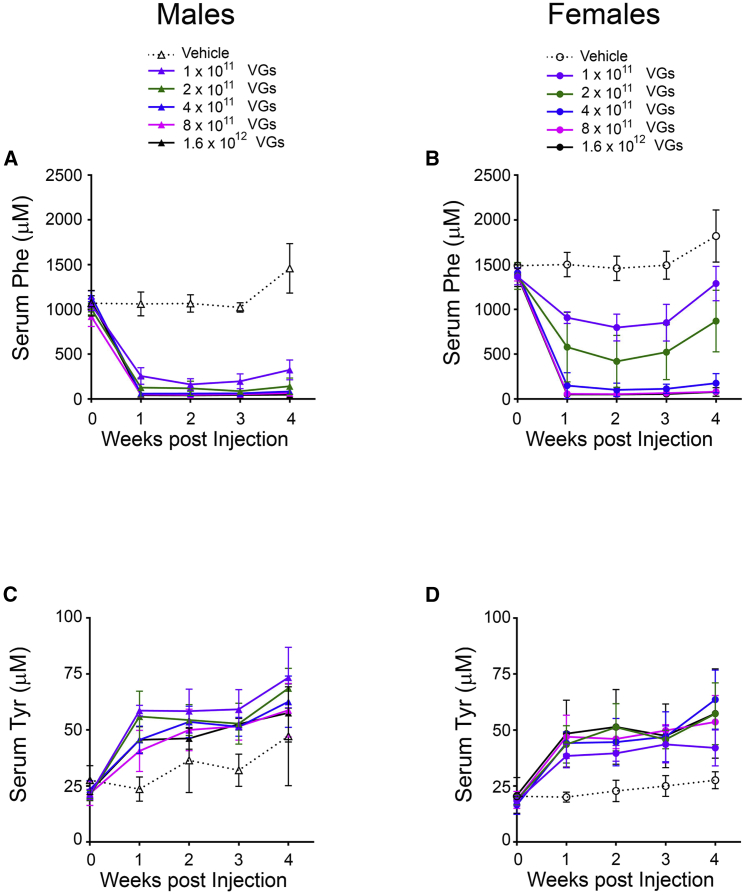 Figure 6