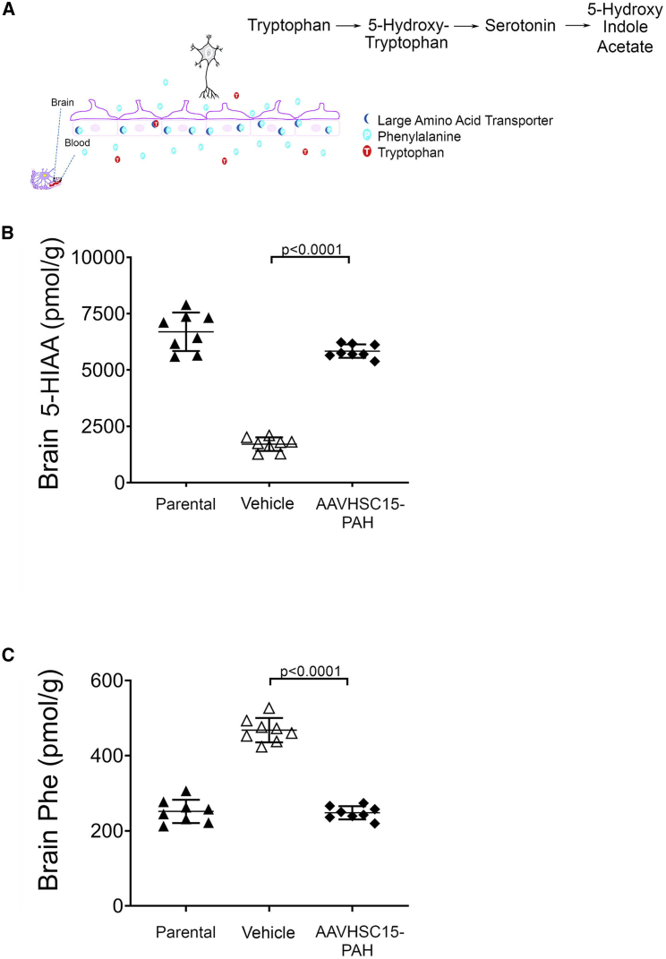 Figure 5