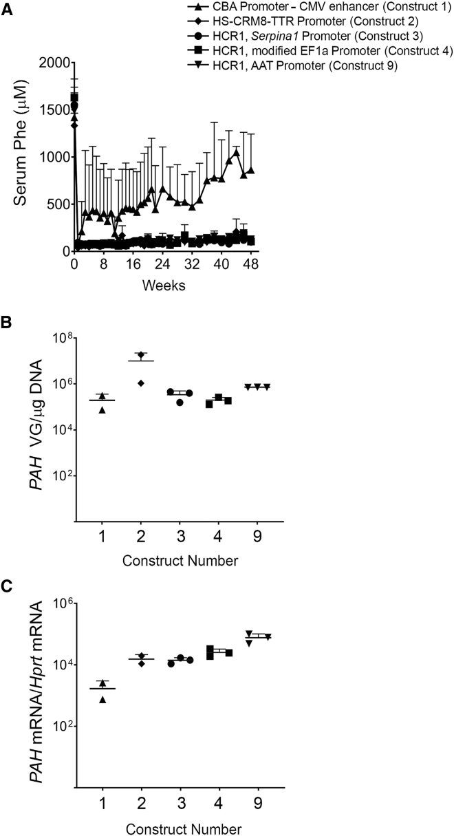 Figure 3