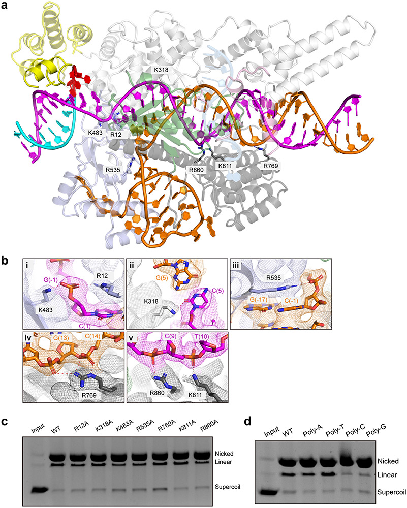 Extended Data Figure 5.