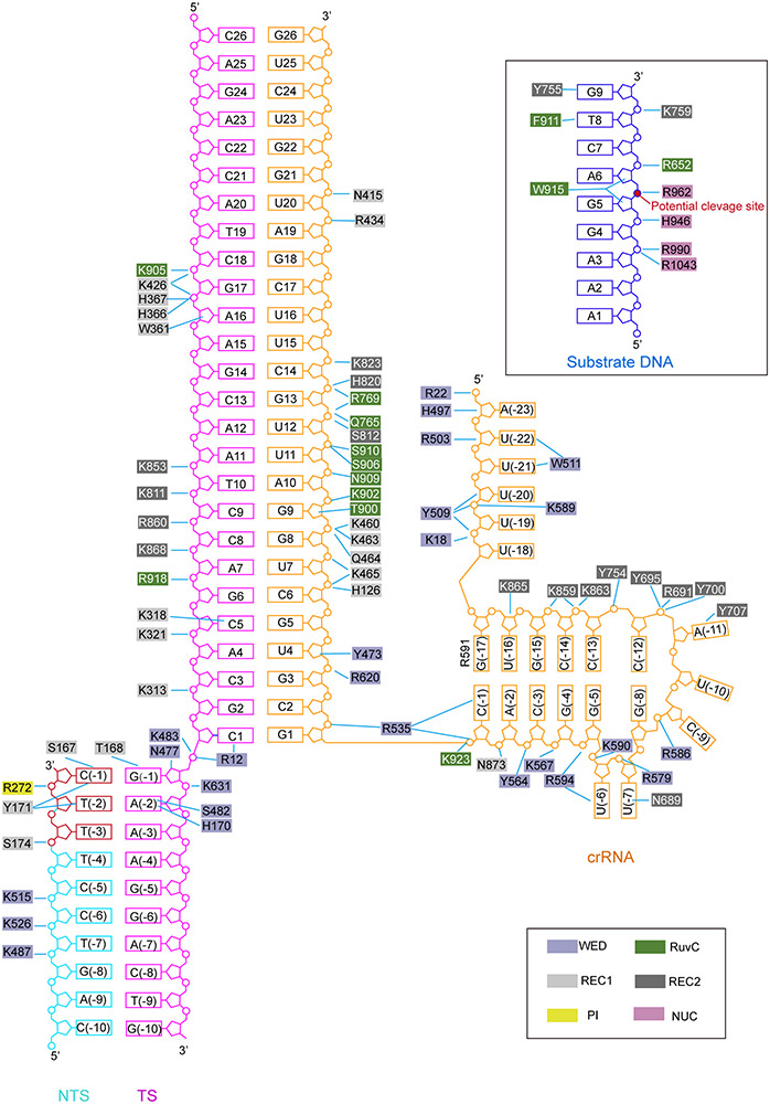 Extended Data Figure 4.