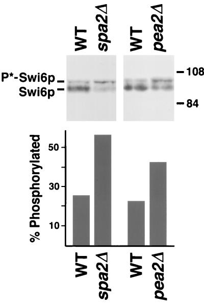 FIG. 9