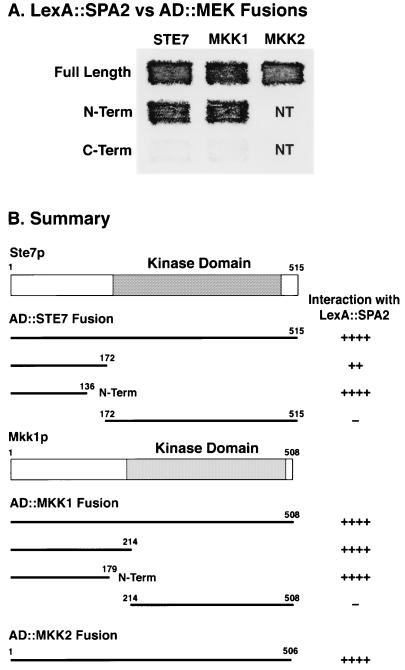 FIG. 7