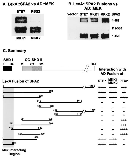 FIG. 6