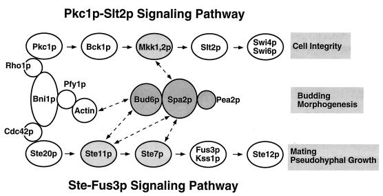 FIG. 10