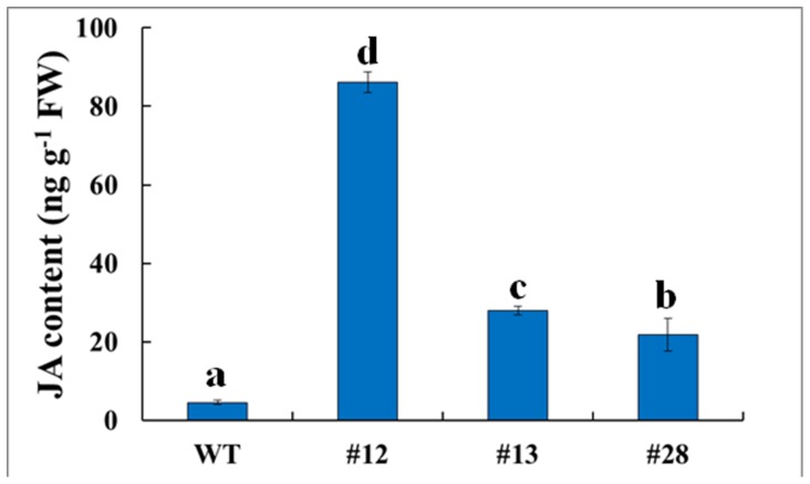 Figure 7