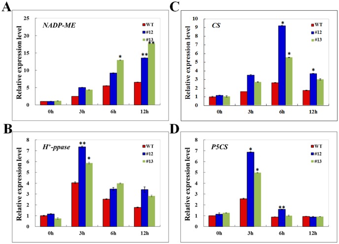 Figure 6