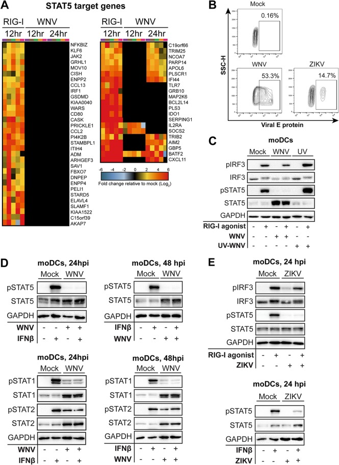 FIG 2