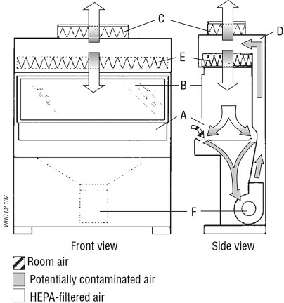 Figure 11.2