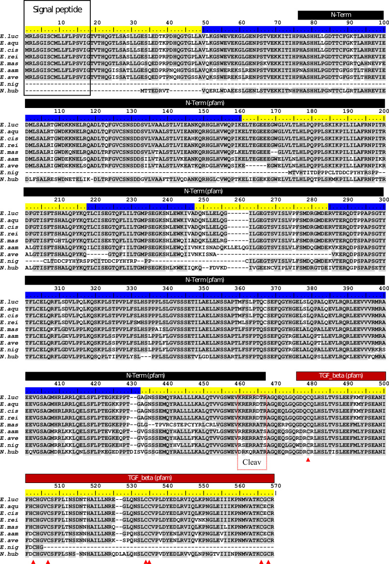 Appendix 1—figure 6.