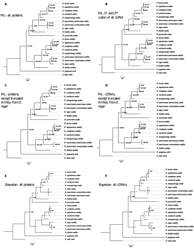 Appendix 1—figure 1.