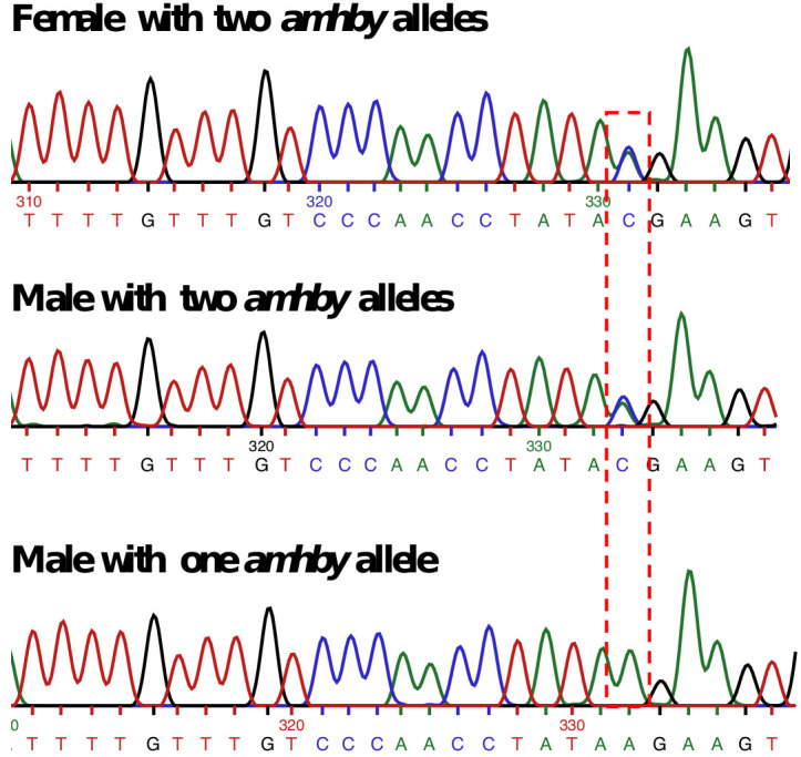 Appendix 1—figure 4.