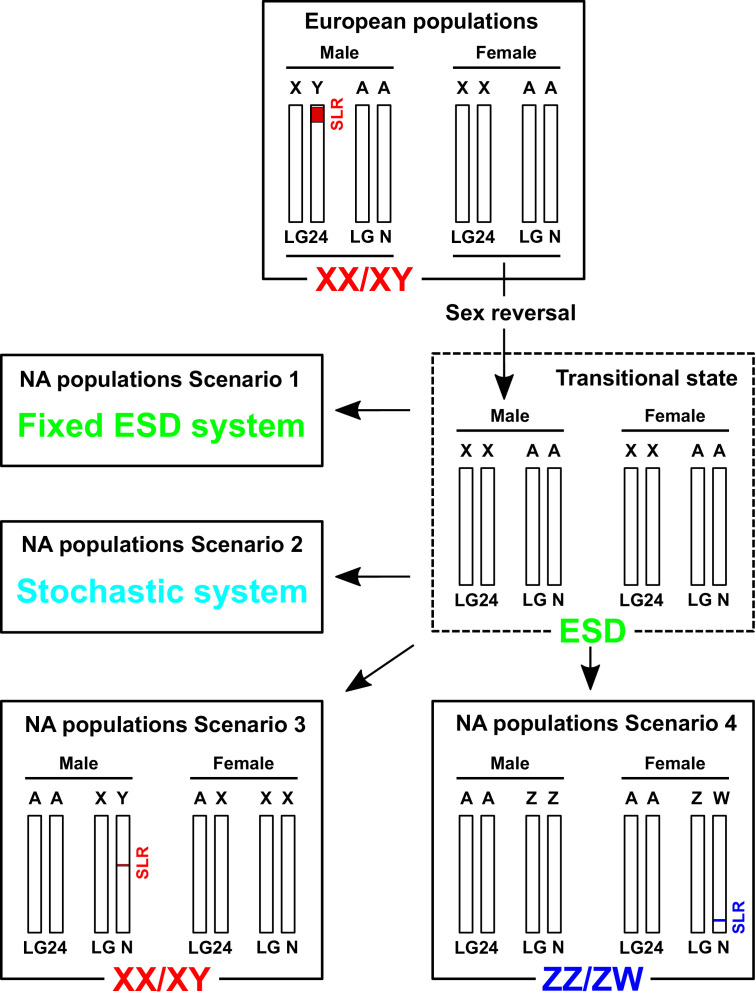 Appendix 1—figure 7.