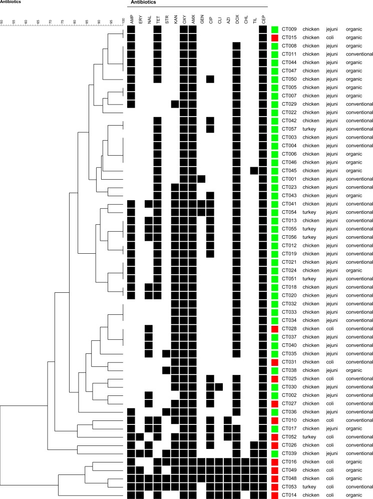 Fig. (1)