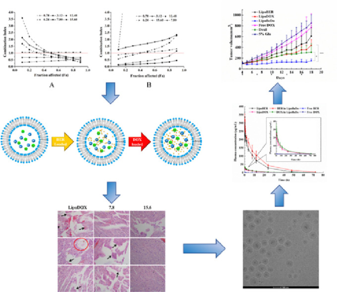 Image, graphical abstract