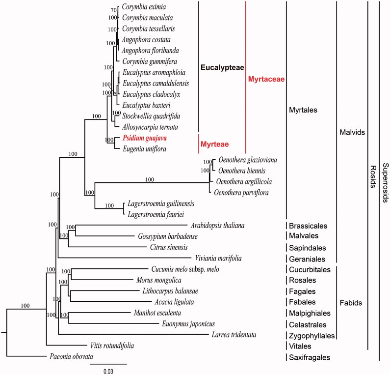 Figure 1.