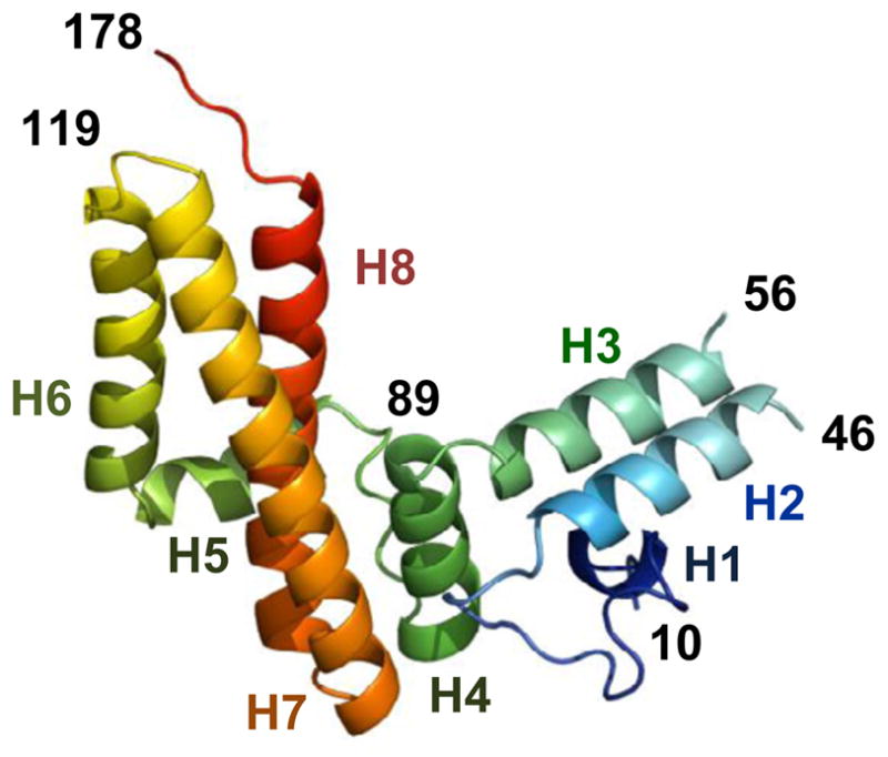 Fig. 1