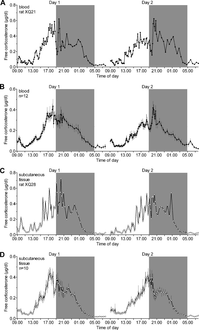 Fig. 1.