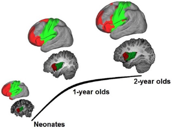 Figure 4.