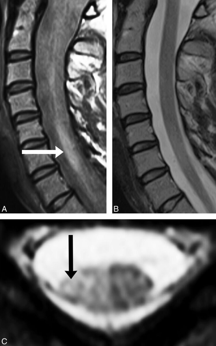 Fig 2.