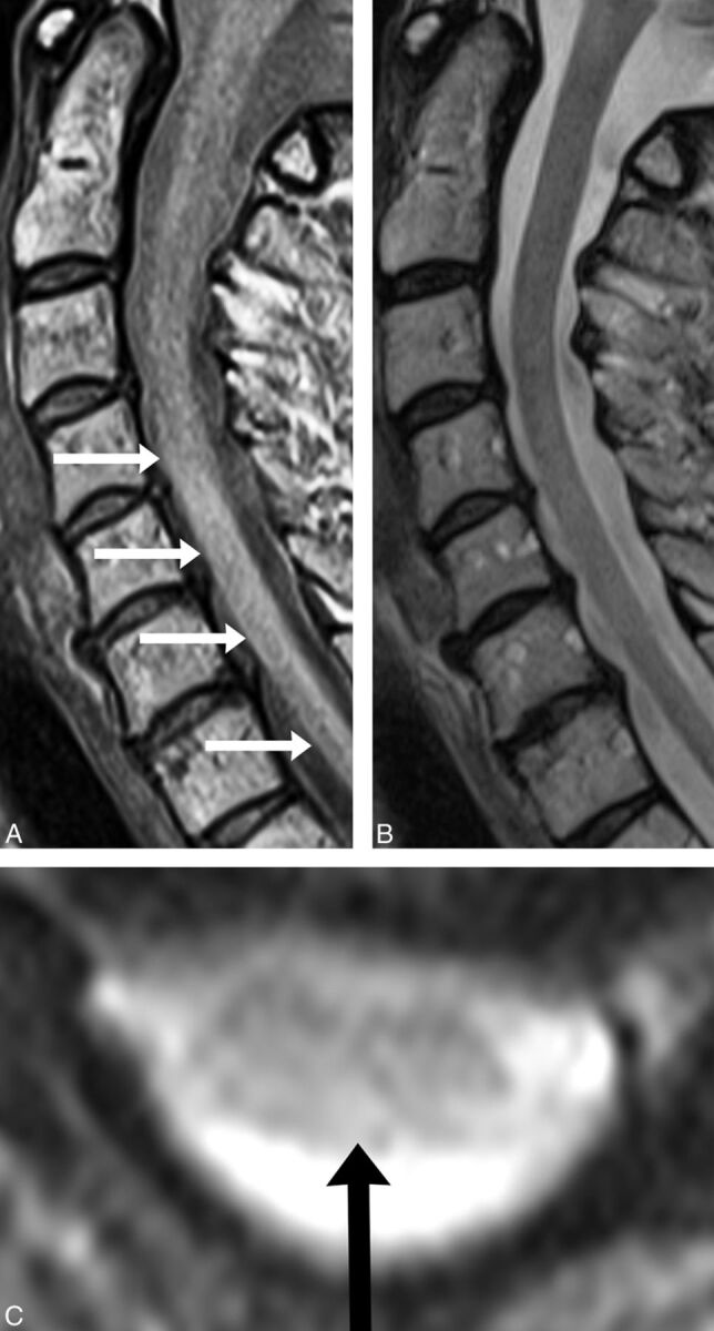 Fig 3.