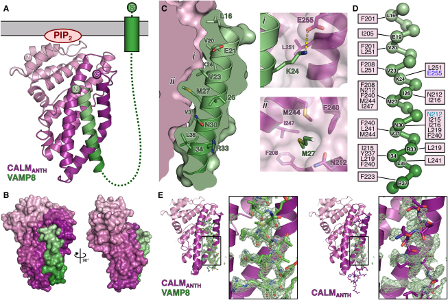 Figure 5