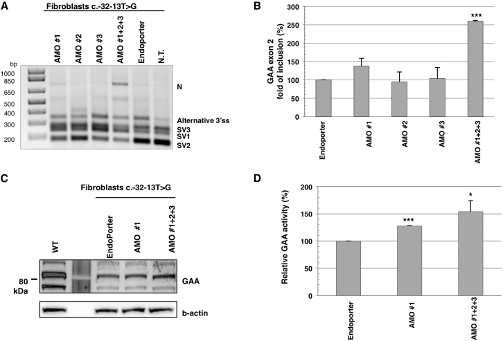 Figure 4