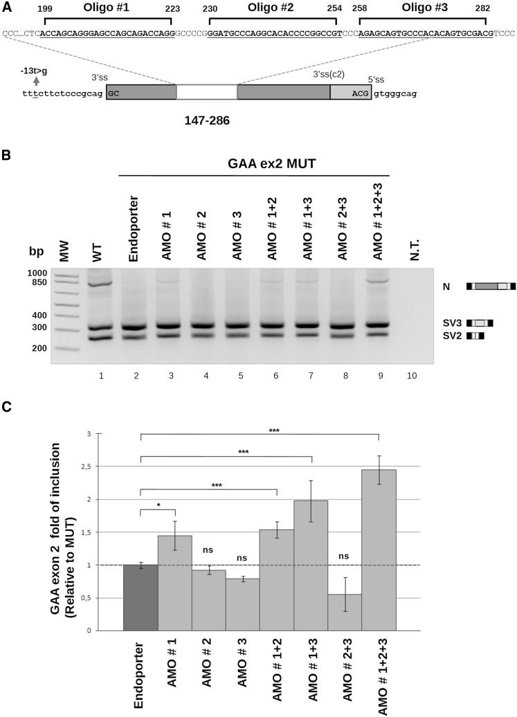 Figure 3