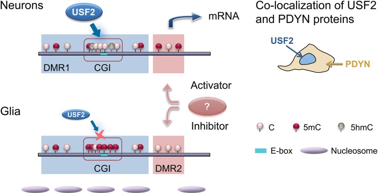 Figure 6.