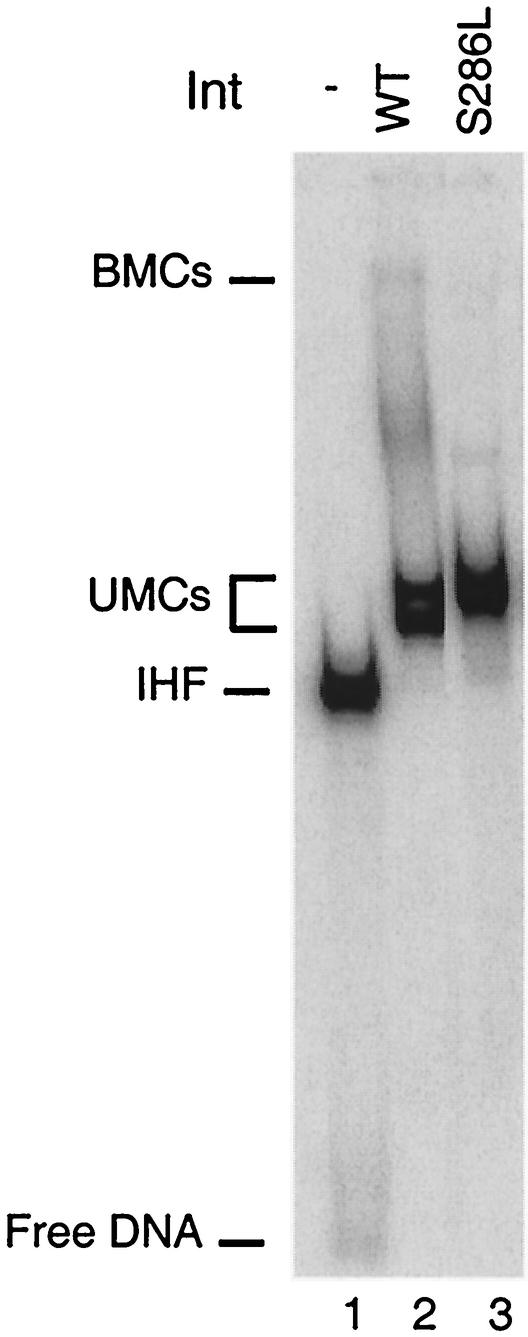 FIG. 5.