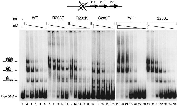 FIG. 10.