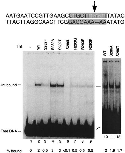 FIG. 8.