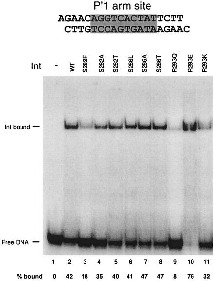 FIG. 9.