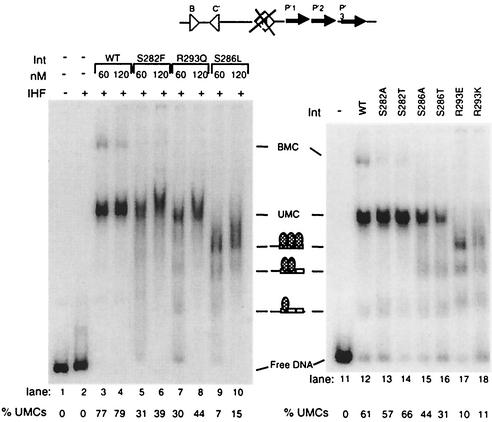 FIG. 7.