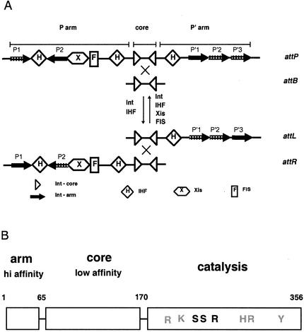 FIG. 1.