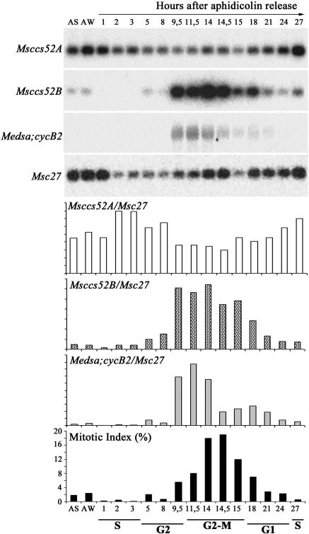 Figure 2.