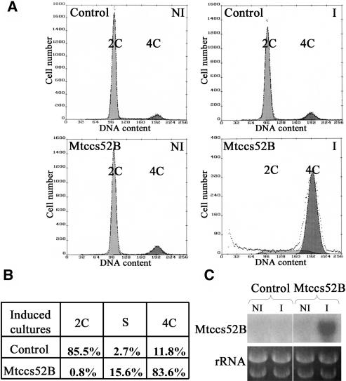 Figure 3.